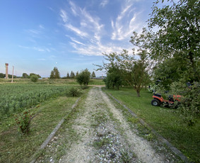 Žolės pjovimas / Aplinkos priežiūros darbai / Daimonas Ambrazas / Darbų pavyzdys ID 2829365
