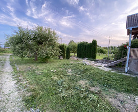 Žolės pjovimas / Aplinkos priežiūros darbai / Daimonas Ambrazas / Darbų pavyzdys ID 2829367