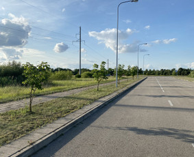 Žolės pjovimas / Aplinkos priežiūros darbai / Daimonas Ambrazas / Darbų pavyzdys ID 2829373