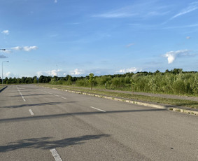 Žolės pjovimas / Aplinkos priežiūros darbai / Daimonas Ambrazas / Darbų pavyzdys ID 2829375