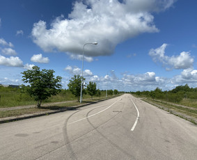 Žolės pjovimas / Aplinkos priežiūros darbai / Daimonas Ambrazas / Darbų pavyzdys ID 2829377