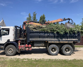 Krūmų/žolės pjovimas, miško sodinimas, Jaunuolynų ugdymas, / MB Siberija / Darbų pavyzdys ID 2834391