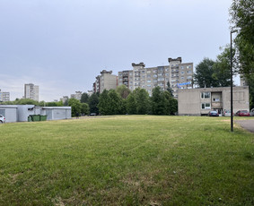 Pievų &scaron;ienavimas - Žolės pjovimas. - 2