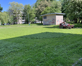 Aplinkos tvarkymas, apželdinimas - Žolės pjovimas. - 1