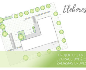 Žalių erdvių dizainas / Elebores / Darbų pavyzdys ID 2835583