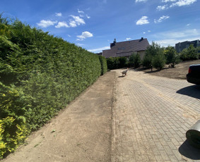 Trinkeliu klojimas, laiptu formavimas / Artūr / Darbų pavyzdys ID 2839817