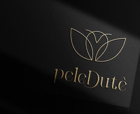 Logotipų kūrimas, Grafinis dizainas, Vizitinės svetainės / Gileta / Darbų pavyzdys ID 2839941