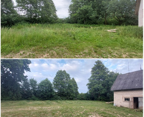Žolės Pjovimas / Aplinkos Priežiūra / Mantas Ruginis / Darbų pavyzdys ID 2840335