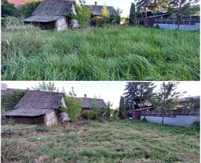 Žolės Pjovimas / Aplinkos Priežiūra / Mantas Ruginis / Darbų pavyzdys ID 2840343
