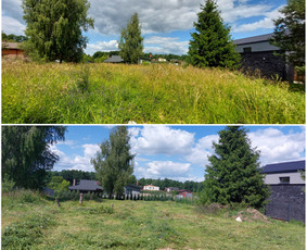 Žolės Pjovimas / Aplinkos Priežiūra / Mantas Ruginis / Darbų pavyzdys ID 2840349