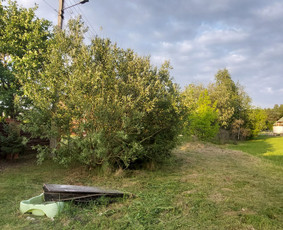 Žolės Pjovimas / Aplinkos Priežiūra / Mantas Ruginis / Darbų pavyzdys ID 2840375