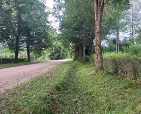 Žolės Pjovimas / Aplinkos Priežiūra / Mantas Ruginis / Darbų pavyzdys ID 2840385