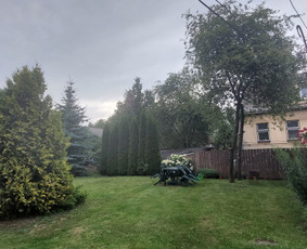 Žolės Pjovimas / Aplinkos Priežiūra / Mantas Ruginis / Darbų pavyzdys ID 2843564