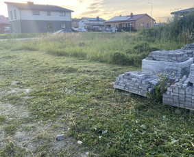 Žolės pjovimas / Aplinkos priežiūros darbai / Daimonas Ambrazas / Darbų pavyzdys ID 2844592