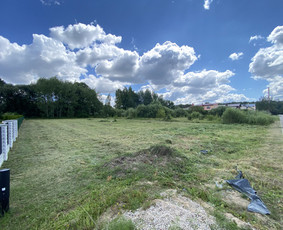 Žolės pjovimas / Aplinkos priežiūros darbai / Daimonas Ambrazas / Darbų pavyzdys ID 2844598