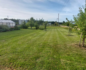 Žolės Pjovimas / Aplinkos Priežiūra / Mantas Ruginis / Darbų pavyzdys ID 2844912