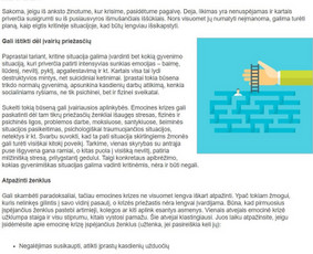 Įvairių tekstų kūrimas / Jūratė Survilė / Darbų pavyzdys ID 2846128