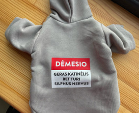 Spauda Čia Ir Dabar - Siuvinėjimas, Siuvimas, Taisymas / MB Tavomada / Darbų pavyzdys ID 2846770