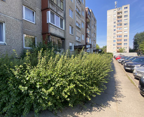 Žolės pjovimas / Aplinkos priežiūros darbai / Daimonas Ambrazas / Darbų pavyzdys ID 2848712