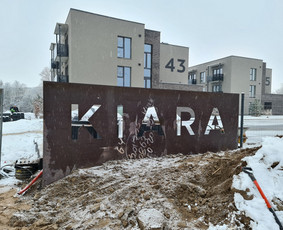 Reklamos studija / MB Spinozauras / Darbų pavyzdys ID 2849059