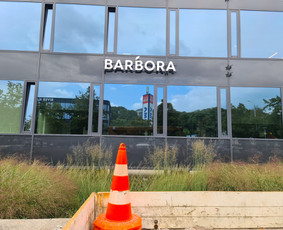 Reklamos studija / MB Spinozauras / Darbų pavyzdys ID 2849075