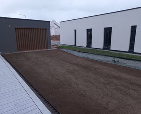 Žalias kontūras / Silvestras / Darbų pavyzdys ID 2850223