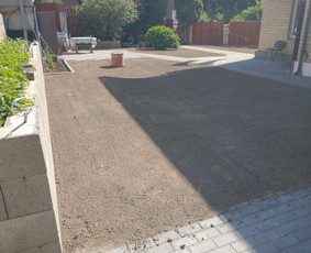 Žalias kontūras / Silvestras / Darbų pavyzdys ID 2850233