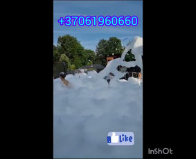 Putų vakarėlis / Putų Vakarėlis ( Mindaugas) / Darbų pavyzdys ID 2851583