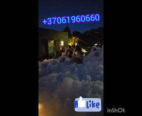 Putų vakarėlis / Putų Vakarėlis ( Mindaugas) / Darbų pavyzdys ID 2851585