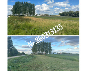 Vejos pjovimas-aplinkos priežiūra, tvarkymas. / Zigmas / Darbų pavyzdys ID 2852603
