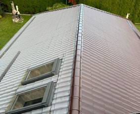 Stogo dažymas - Medinių,tinkuotų namų bei stogų -plovimas,dažymas - 4