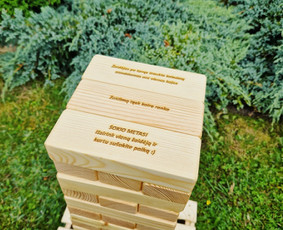 Lauko ir vidaus žaidimų nuoma Jūsų šventėms! / woodygames.lt / Darbų pavyzdys ID 2853913
