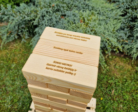 Lauko ir vidaus žaidimų nuoma Jūsų šventėms! / woodygames.lt / Darbų pavyzdys ID 2853917