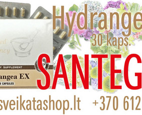 Santegra maisto papildai - Alla / Alla Nekrasova / Darbų pavyzdys ID 2854467
