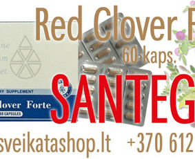 Santegra maisto papildai - Alla / Alla Nekrasova / Darbų pavyzdys ID 2854531