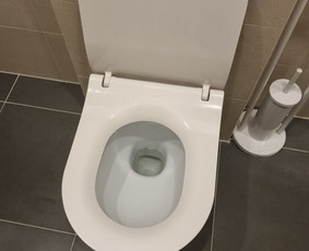 Valymas butu,kotedzu / Valymo paslaugos / Darbų pavyzdys ID 2860075