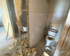 Griovimo darbai, atliekų išvežimas utilizuoti / Griovimai -išvežimai / Darbų pavyzdys ID 2860593