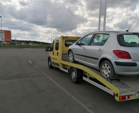 Tralas Traliukas Techninė Pagalba Kelyje Kaunas-lietuva / Rimvio_traliukas / Darbų pavyzdys ID 2860931