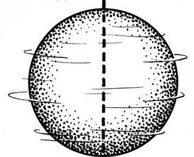Kadastriniai matavimai - Matininkas Geodezininkas - 1