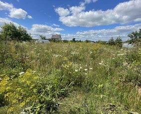 Žolės pjovimo paslaugos , bei kiti gerbūvio darbai / Renaldas / Darbų pavyzdys ID 2862401