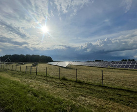 Žolės pjovimo paslaugos , bei kiti gerbūvio darbai / Renaldas / Darbų pavyzdys ID 2862405