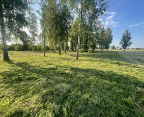 Žolės pjovimo paslaugos , bei kiti gerbūvio darbai / Renaldas / Darbų pavyzdys ID 2862457