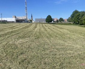 Žolės pjovimo paslaugos , bei kiti gerbūvio darbai / Renaldas / Darbų pavyzdys ID 2862459