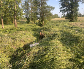 Žolės pjovimo paslaugos , bei kiti gerbūvio darbai / Renaldas / Darbų pavyzdys ID 2862461