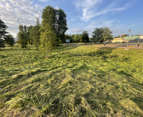 Žolės pjovimo paslaugos , bei kiti gerbūvio darbai / Renaldas / Darbų pavyzdys ID 2862463