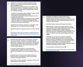 Meta, Google, Tiktok ir Linkedin reklama nuo 300 €/mėn. / Goadver, MB / Darbų pavyzdys ID 2863373