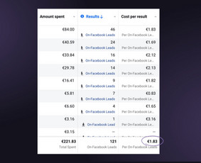 Meta, Google, Tiktok ir Linkedin reklama nuo 300 €/mėn. / Goadver, MB / Darbų pavyzdys ID 2863397