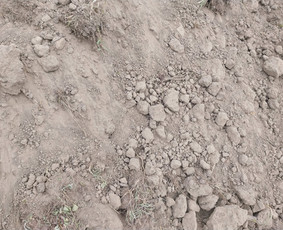 Bobcat/ Račiokas/ Juodžemis/ smelis/ žvyras. / MB RAUSTA / Darbų pavyzdys ID 2863427