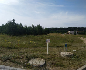 Žolės pjovimas trimeriu, vėjapjove, traktoriuku Vilniaus r. / Egidijus / Darbų pavyzdys ID 2864115