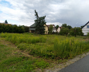 Žolės pjovimas trimeriu, vėjapjove, traktoriuku Vilniaus r. / Egidijus / Darbų pavyzdys ID 2864119